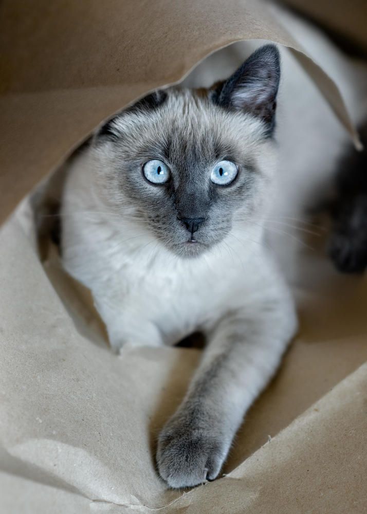 Photograph by Полина Хрол