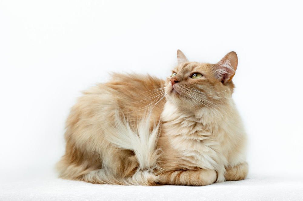 Photograph by Полина Хрол