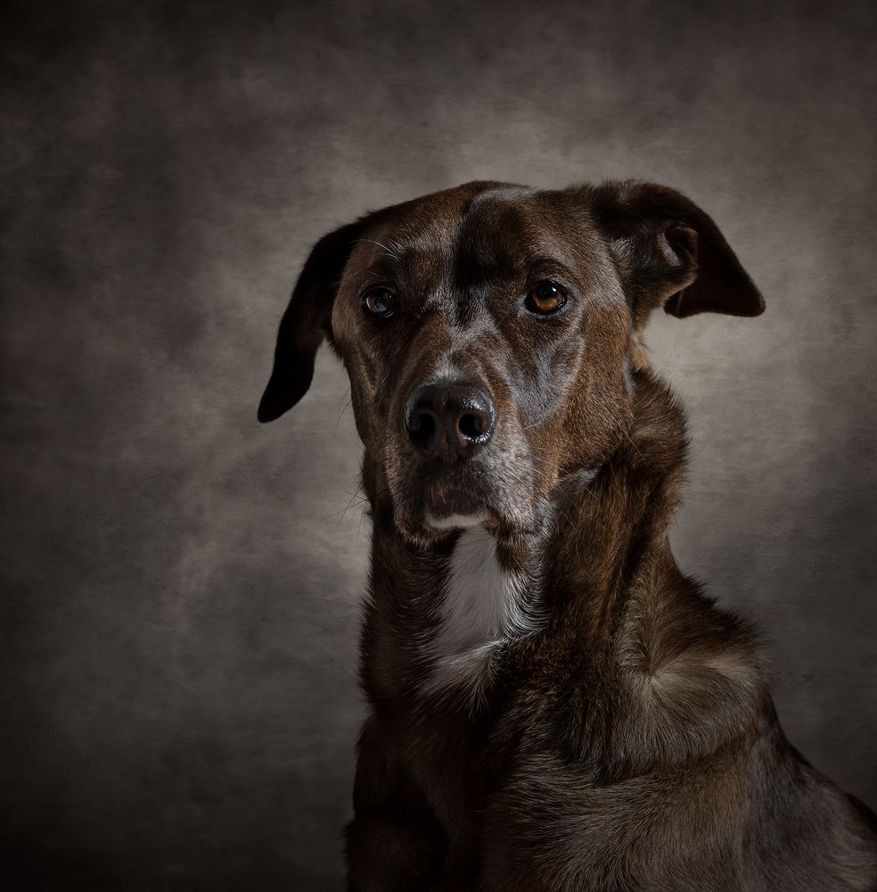 Photograph by Federica Repossi