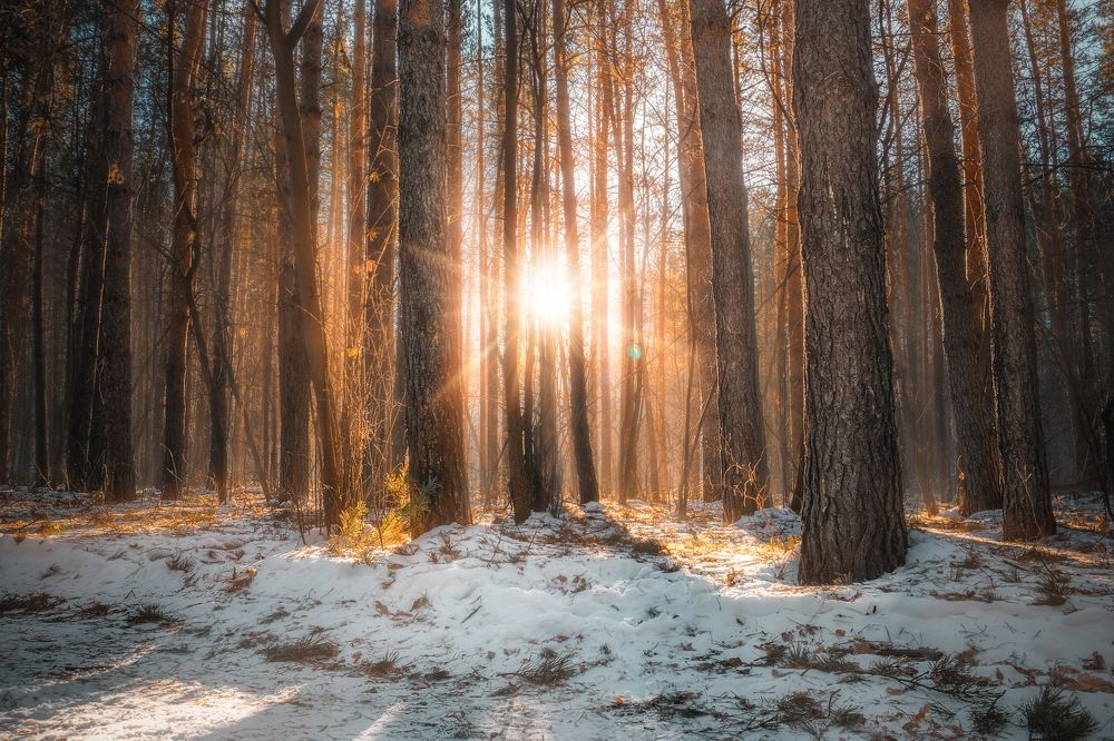 Photograph by Ivan Sazykin