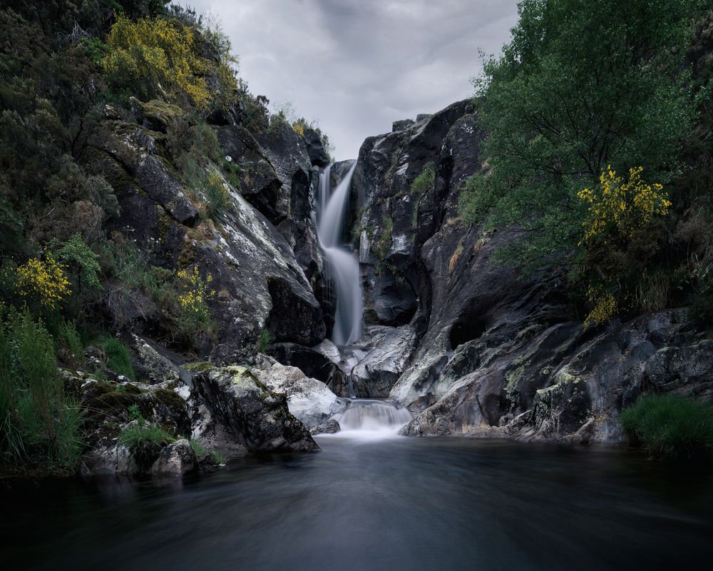 Photograph by Roberto