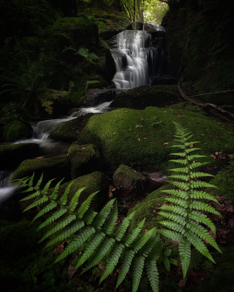 Photograph by Roberto