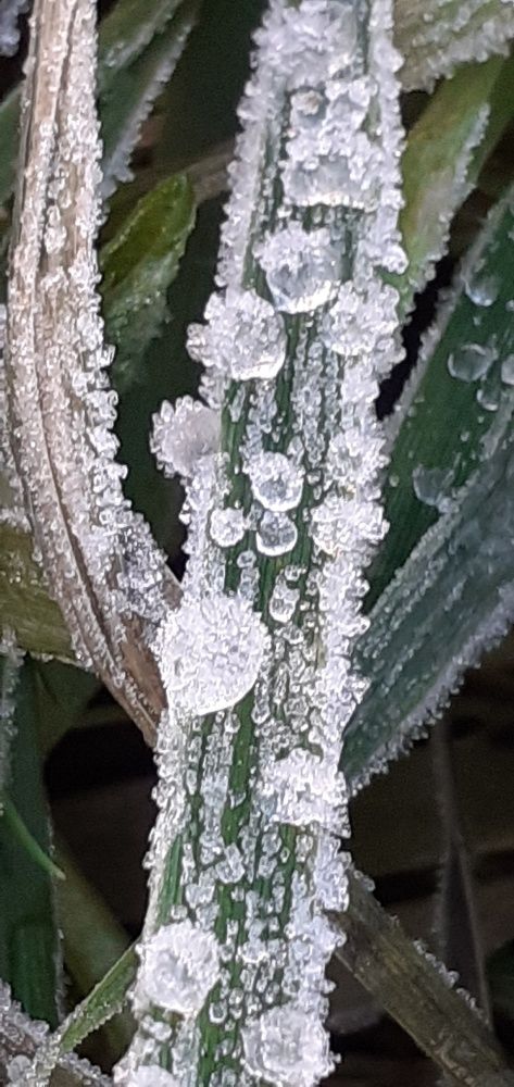 Photograph by Евгения Ульянова