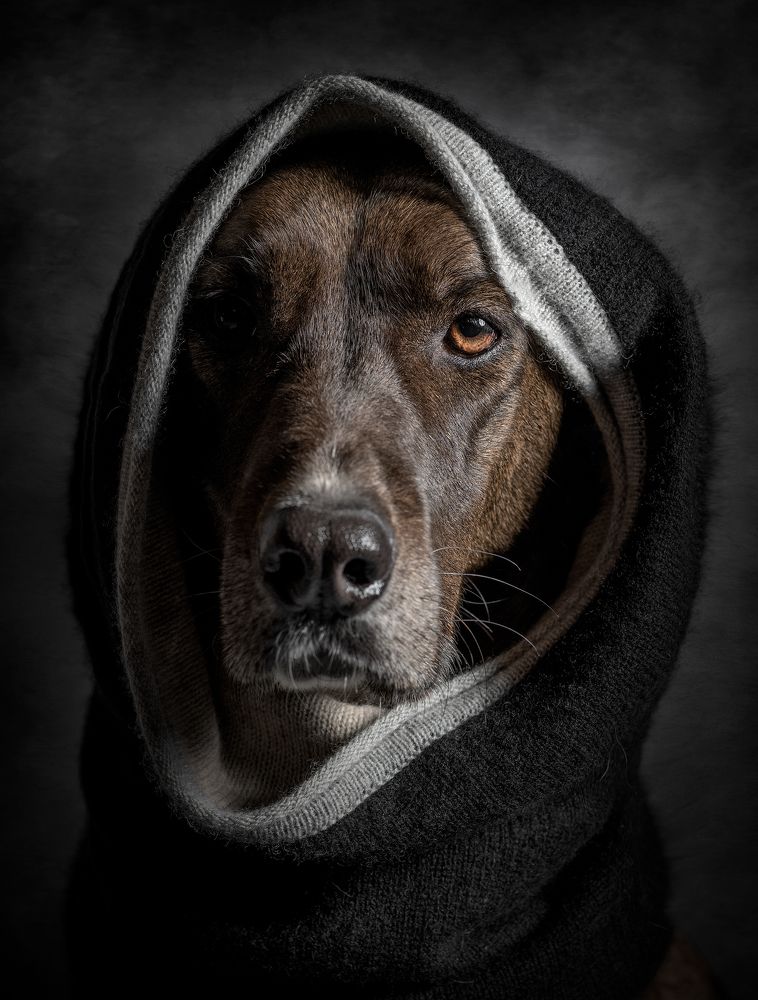 Photograph by Federica Repossi