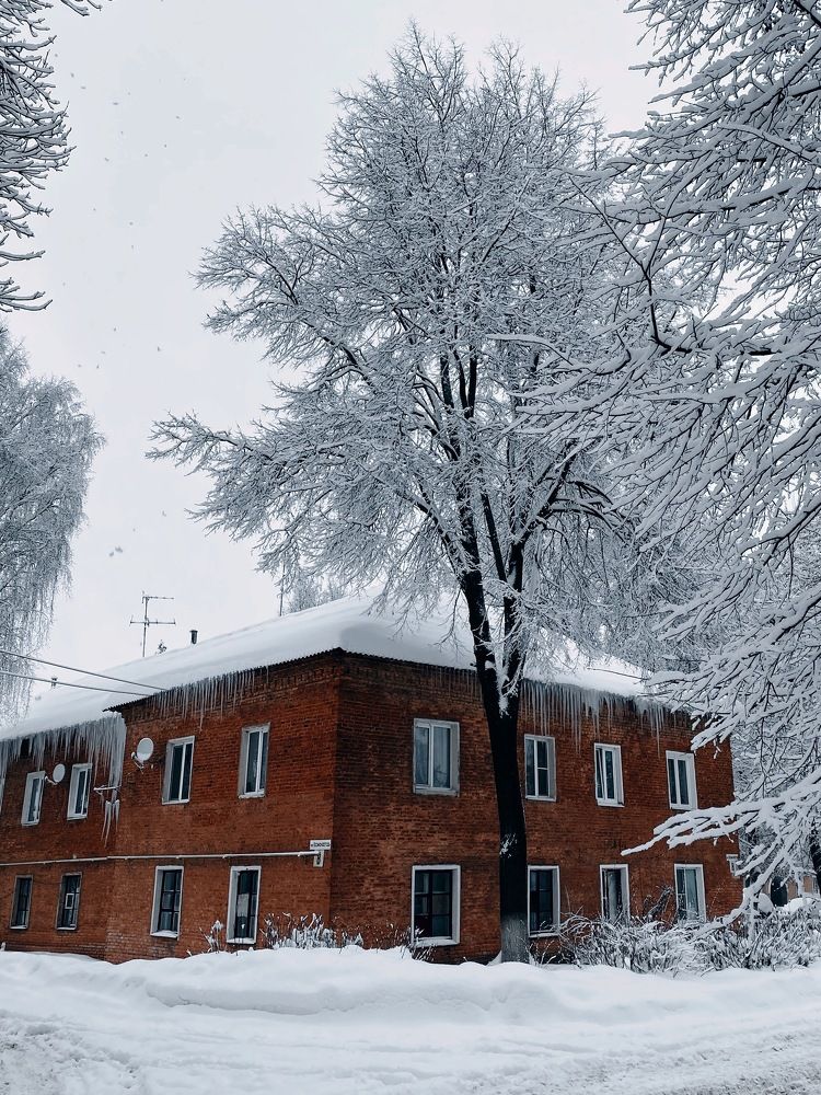 Photograph by Дарья