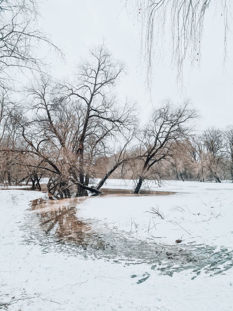 Photograph by Елена