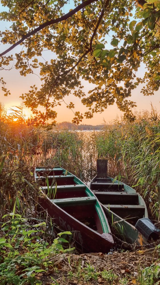 Photograph by Лариса Толкачёва