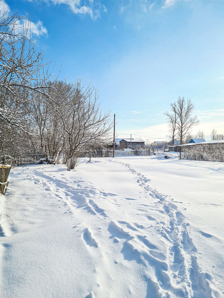 Photograph by Елена