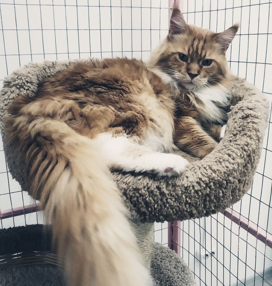 Photograph by Ольга Александрова