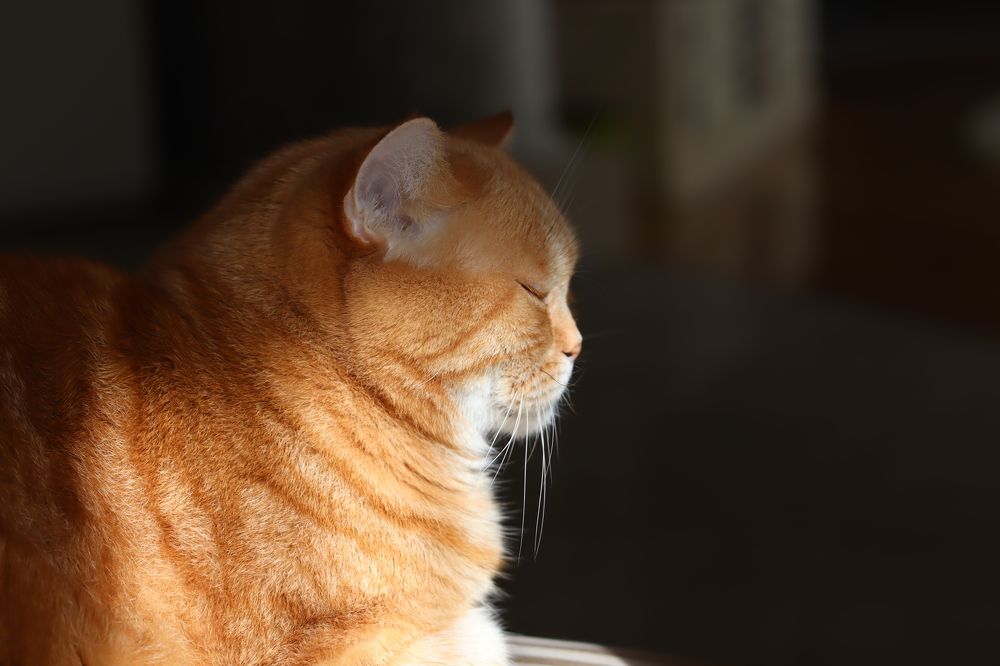 Photograph by Нина Пономаренко