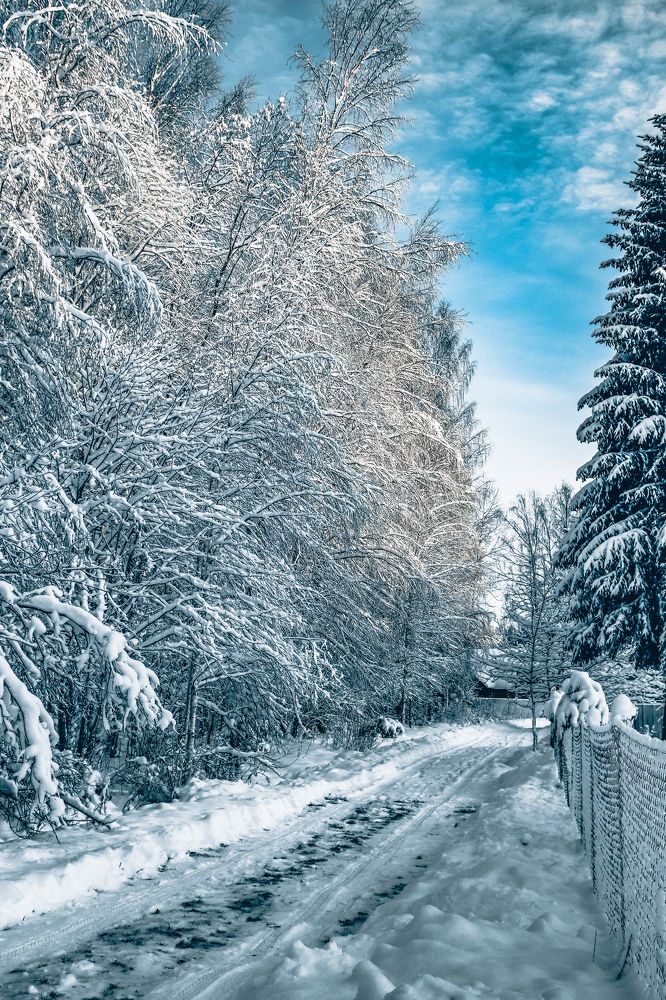 Photograph by Алексей Голубев