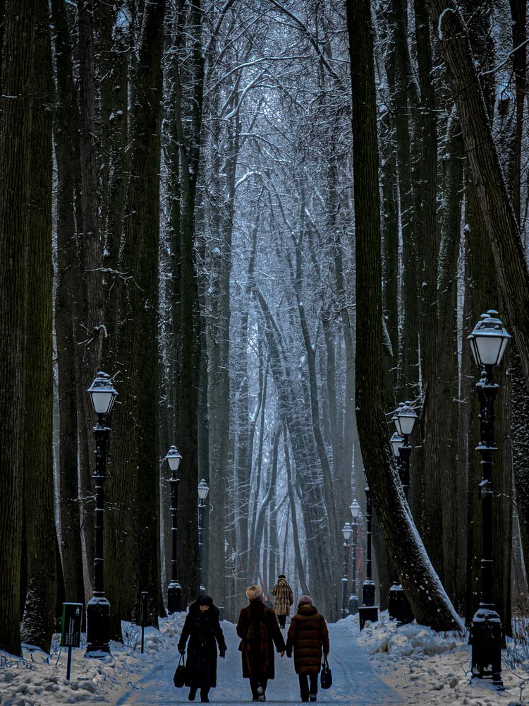 Photograph by Евгений Порсов