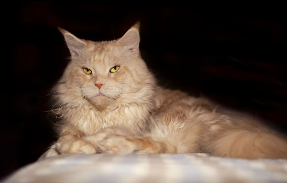 Фотография автора Галина