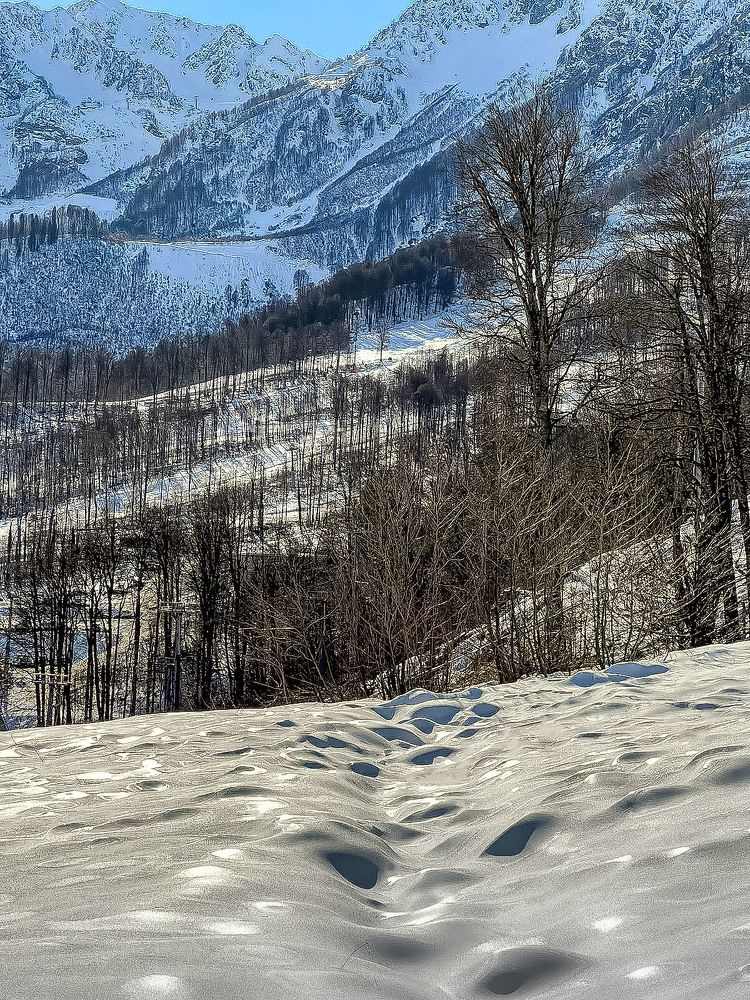 Сочинские зефирки.