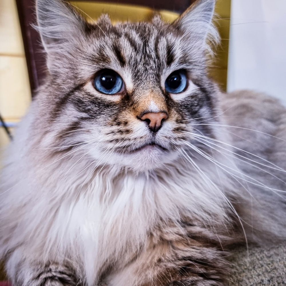 Photograph by Евгений Порсов