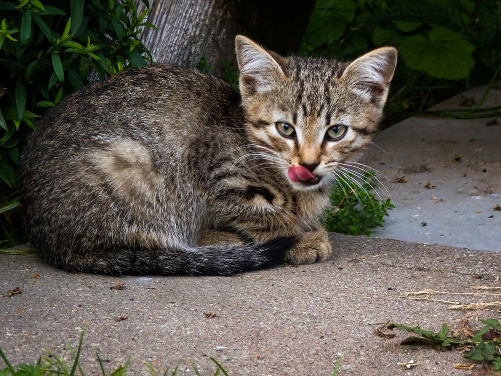 Photograph by Евгений Порсов