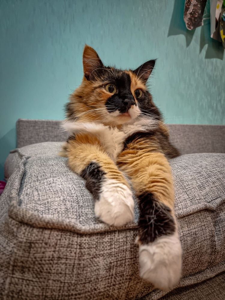 Photograph by Евгений Порсов