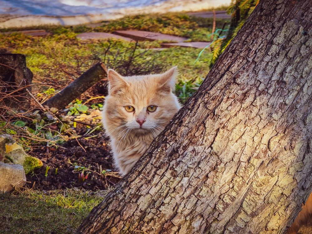 Photograph by Евгений Порсов