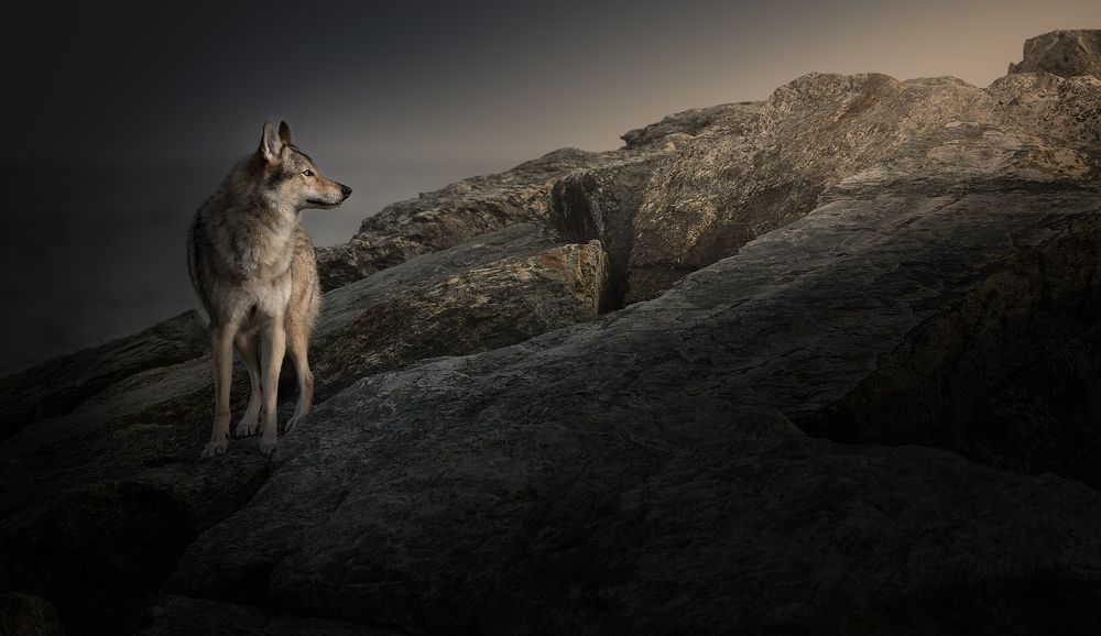 Photograph by Federica Repossi