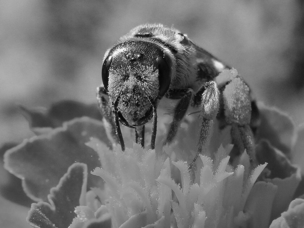 Фотография автора Павел Попов