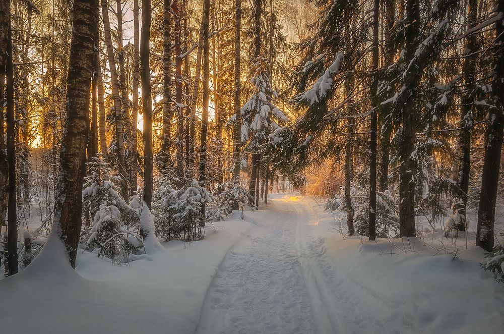 Photograph by Надежда Колеватова