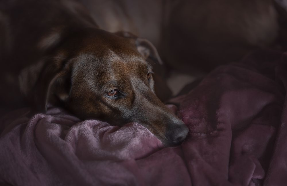 Photograph by Federica Repossi