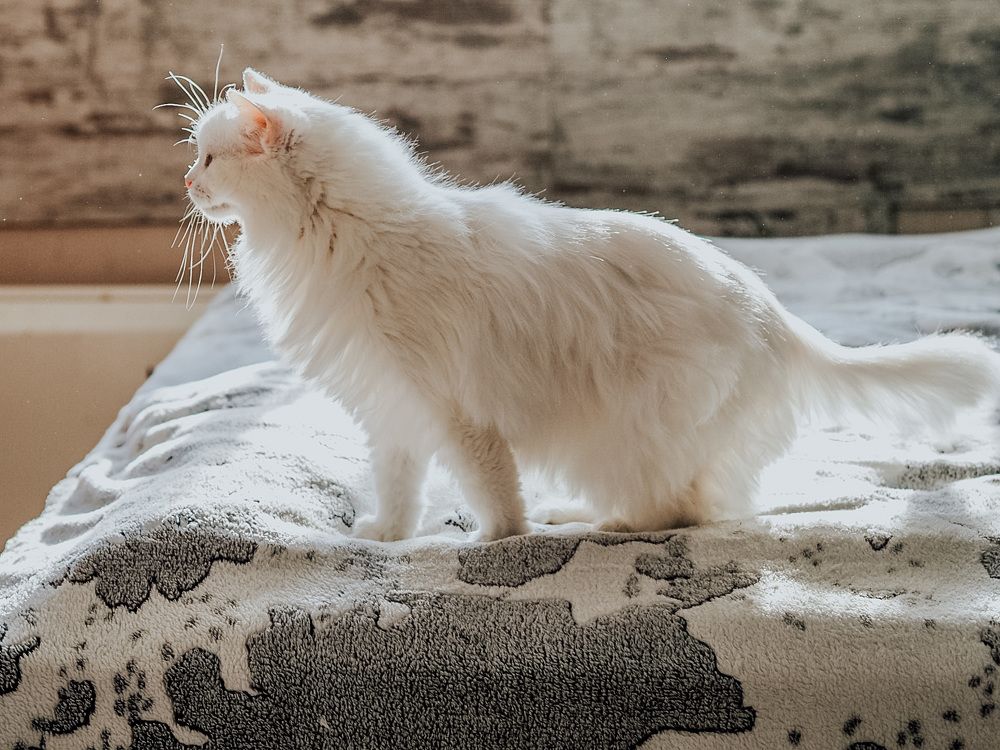 Photograph by Олеся Семенова