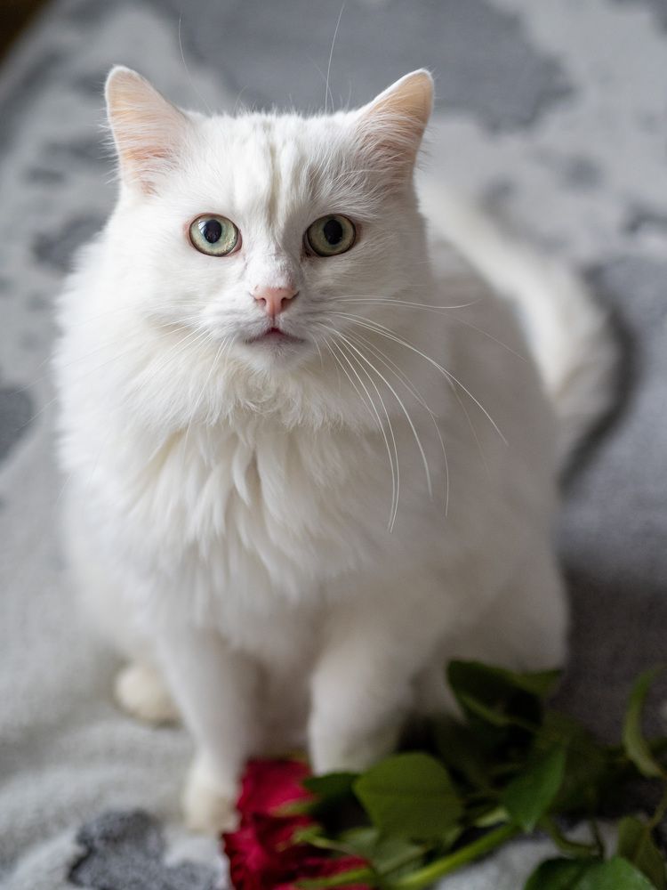 Photograph by Олеся Семенова