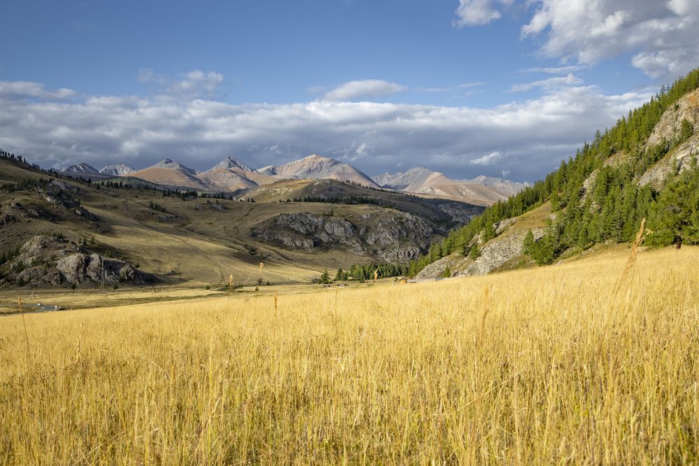 Photograph by Александр Трегубов