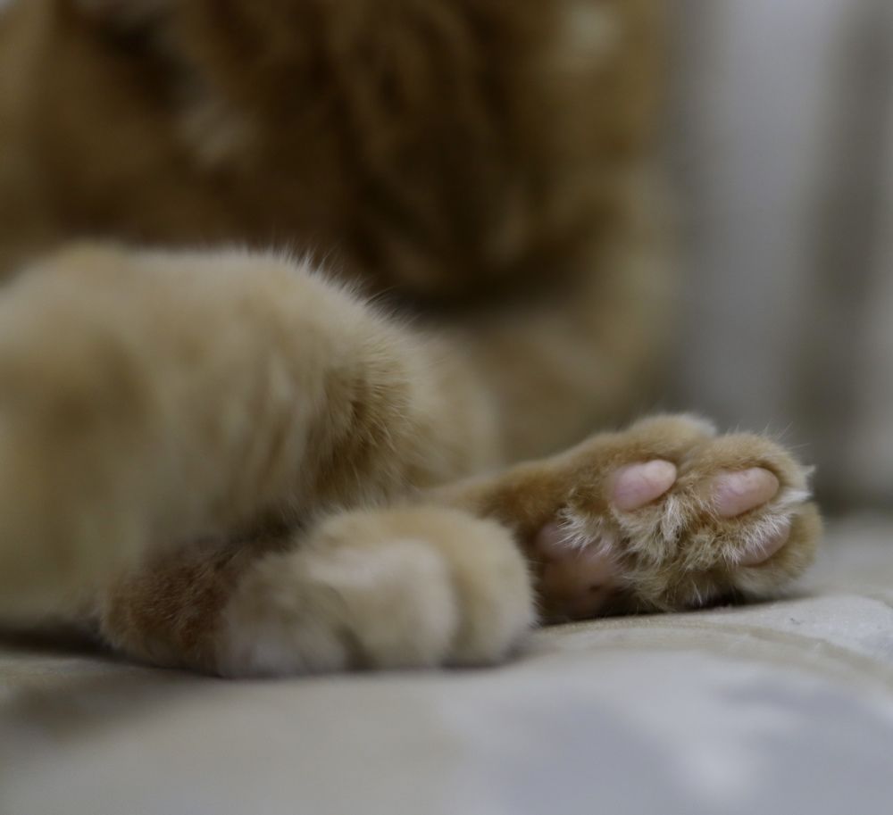 Photograph by Нина Пономаренко