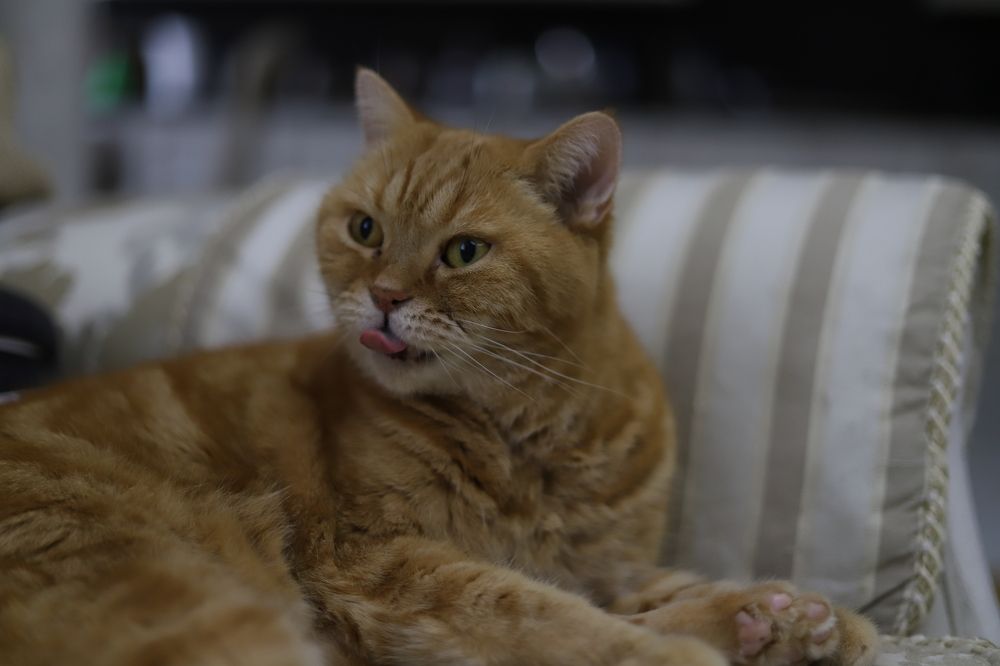 Photograph by Нина Пономаренко