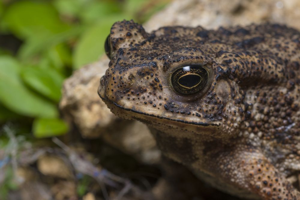 Photograph by Sameer Bhalekar