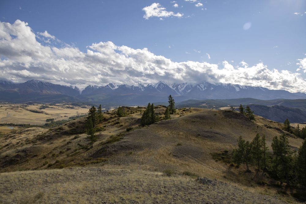 Photograph by Александр Трегубов