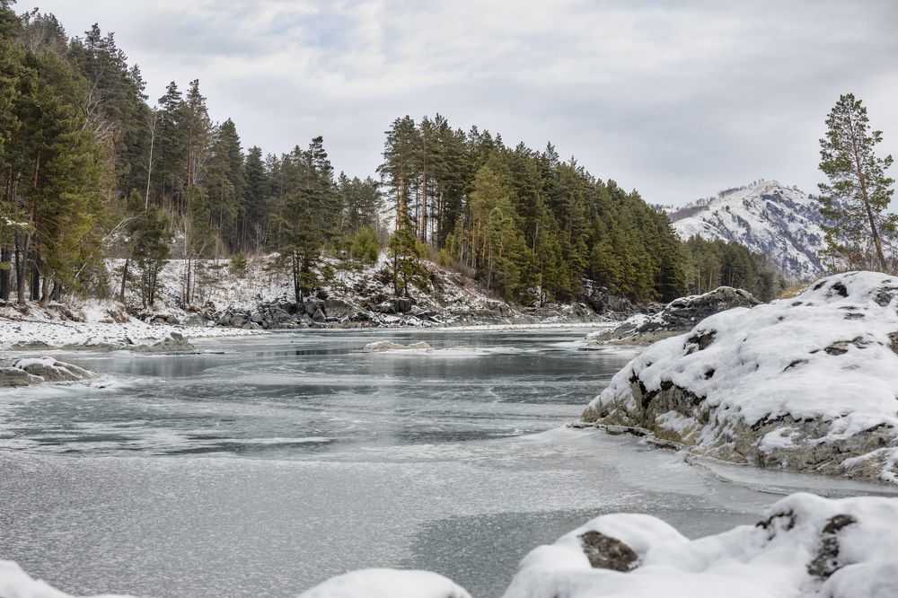 Photograph by Александр Трегубов