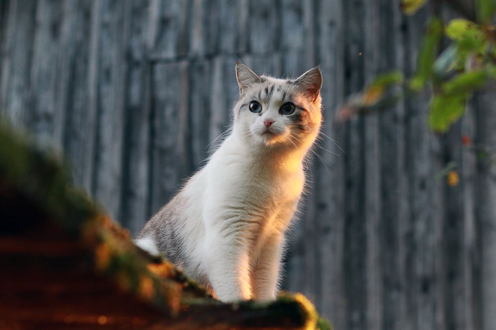 Photograph by Наталия Тарасова