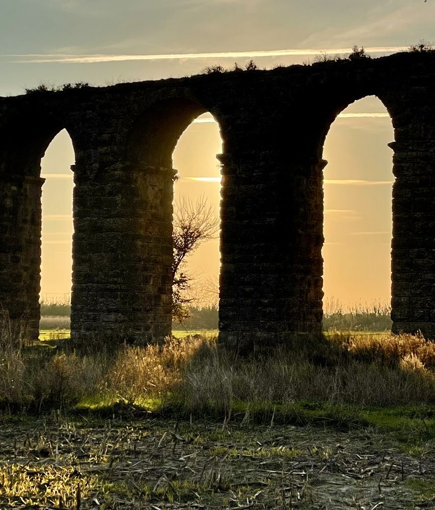 Photograph by Нина Пономаренко