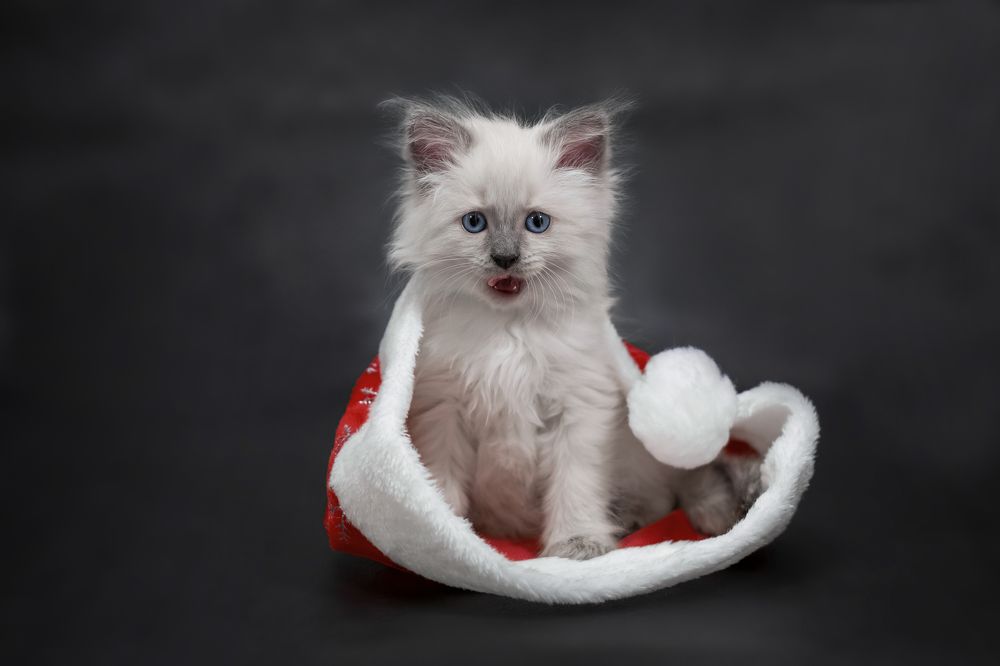 Photograph by Минаева Татьяна