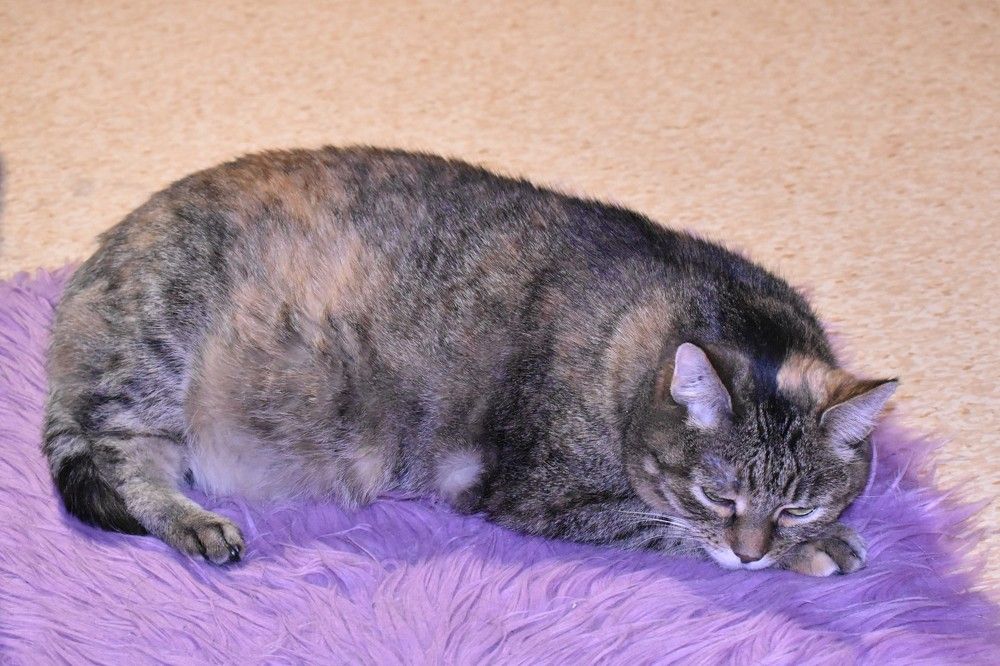 Photograph by Татьяна Клемба