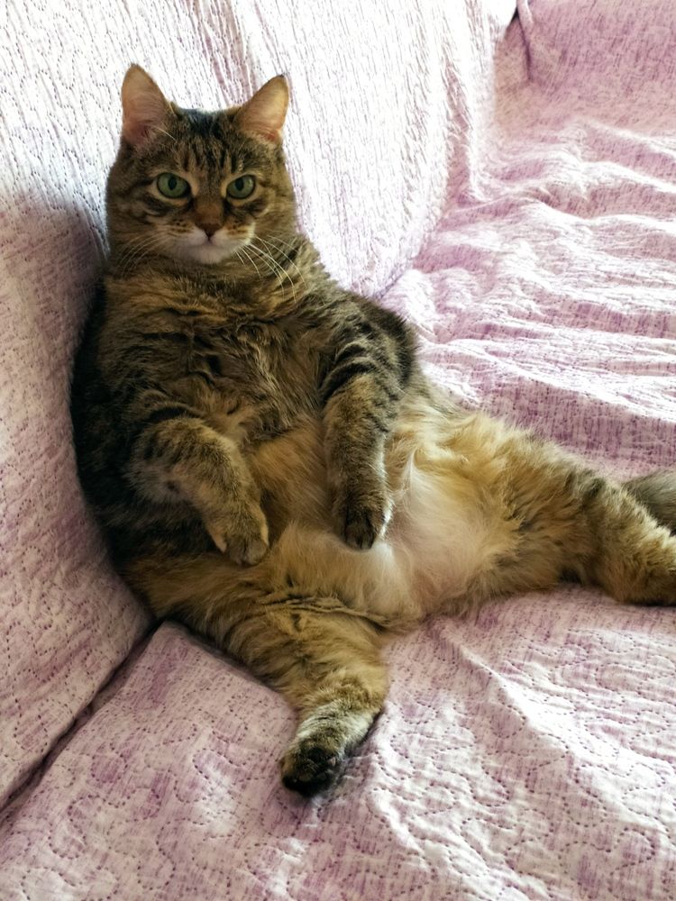 Photograph by Татьяна Клемба