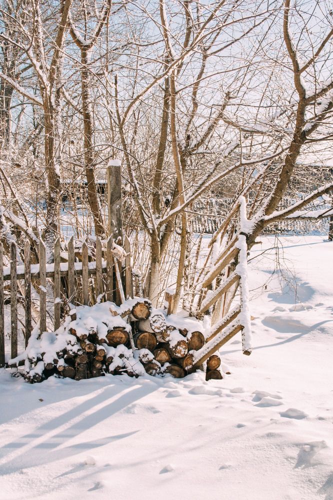 Photograph by Елена