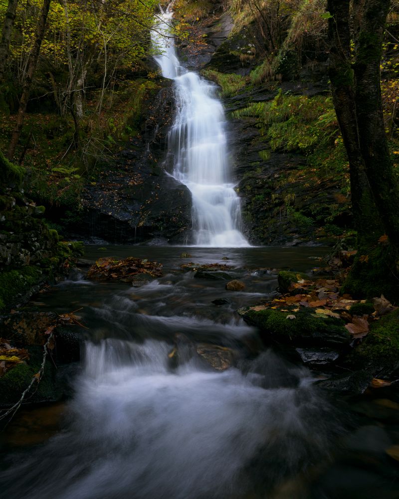 Photograph by Roberto