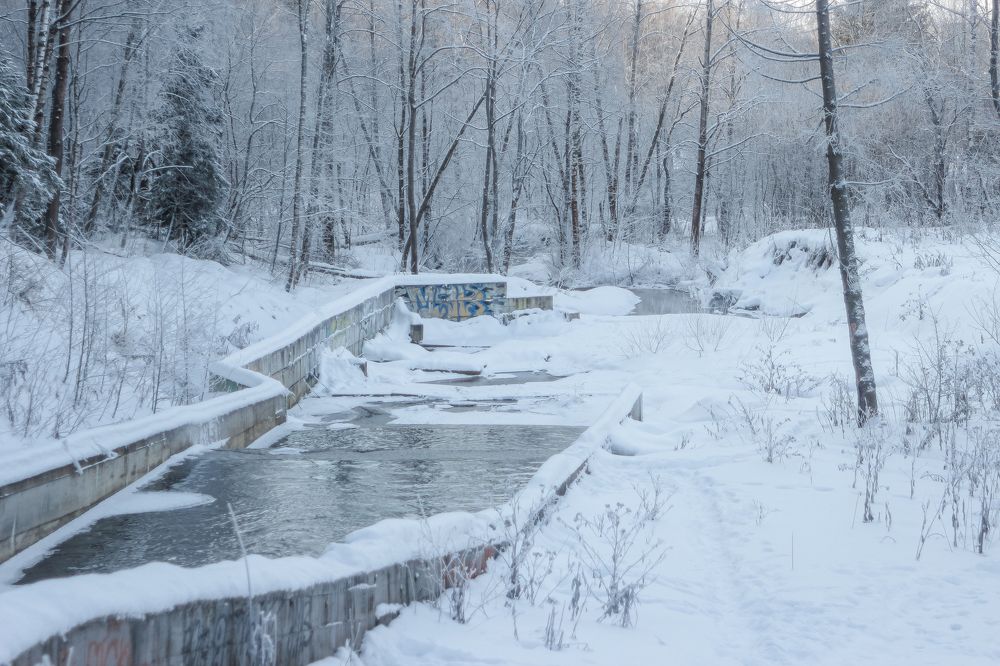 Лесное озеро. Сергиев Посад.