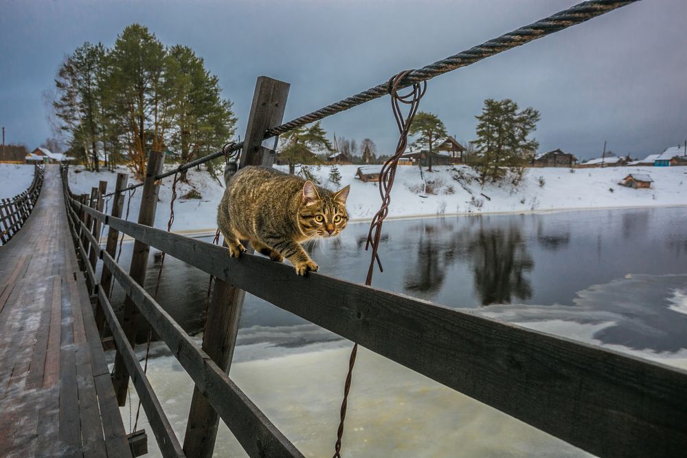 Photograph by Наталия Колтакова