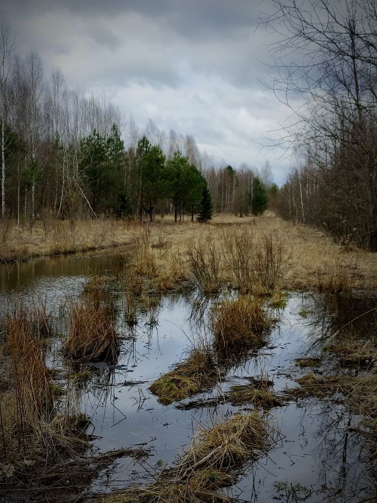 Photograph by Ирина Подлубная