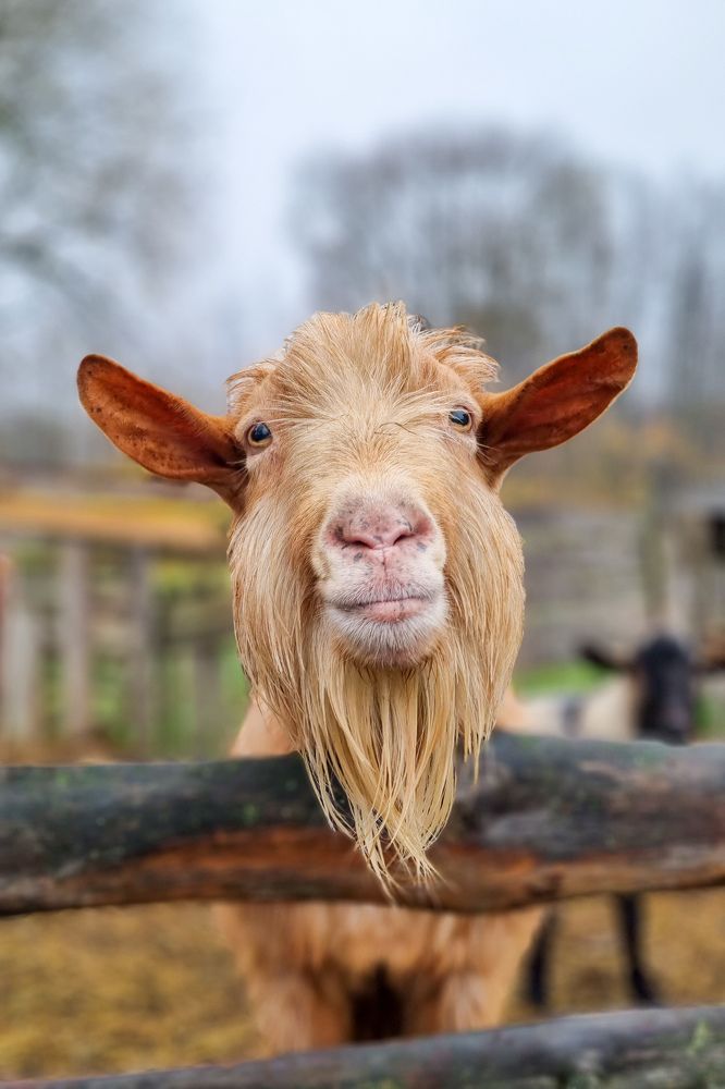 Photograph by Лариса Толкачёва