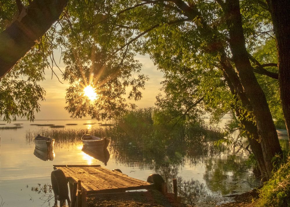 Фотография автора Наталья Липовская