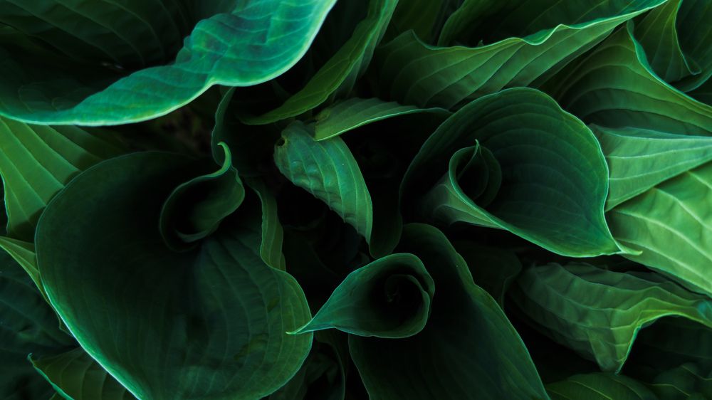 Photograph by Андрей