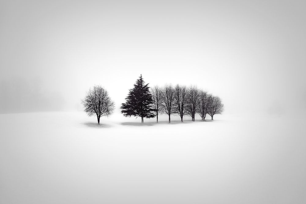Winter fog