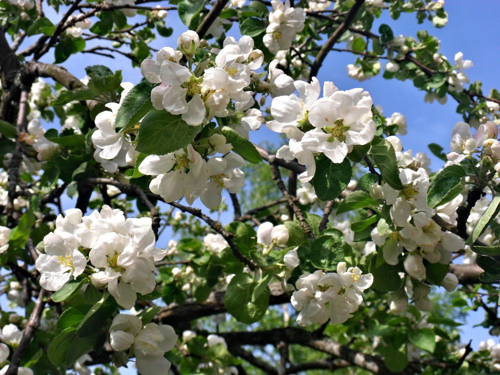 Photograph by Маша Худякова