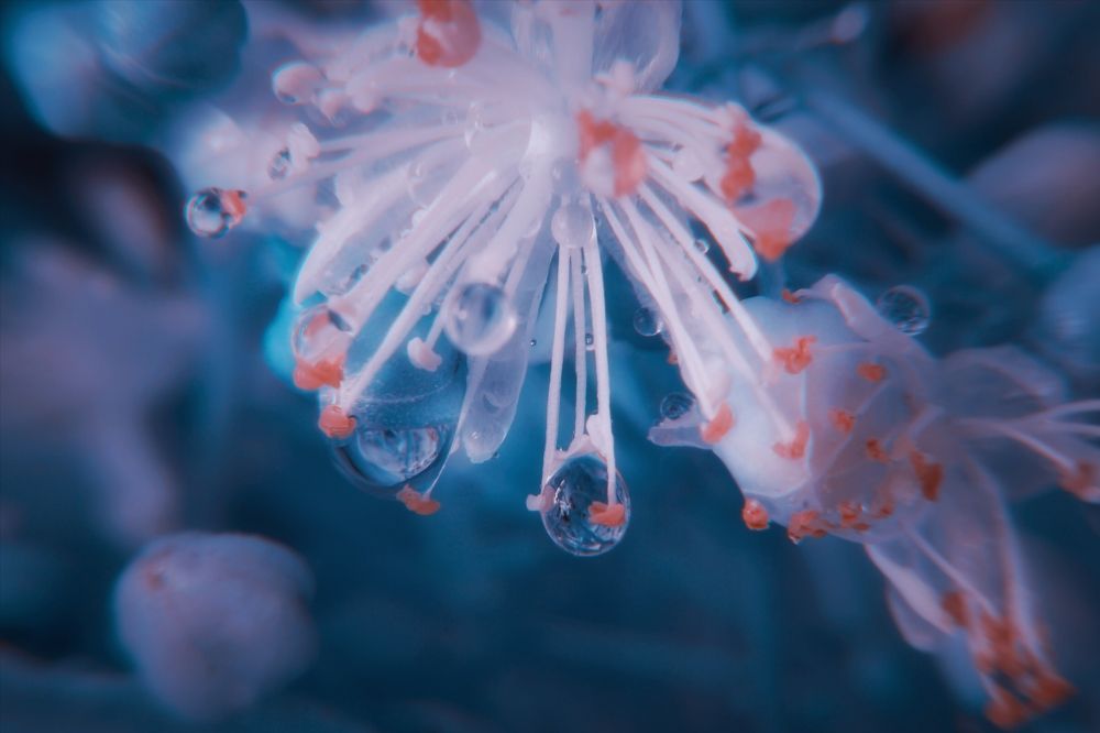 Photograph by Колоскова Мария